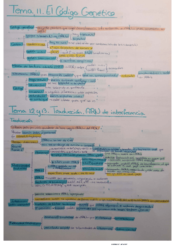 Miniatura del documento Tema 11, 12 y 13 BQ.pdf
