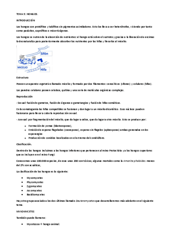 Miniatura del documento teoria-completa-botanica.pdf