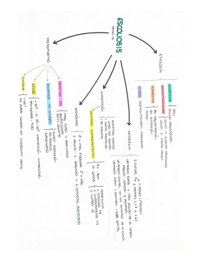 Miniatura del documento Afecciones-esquemas-12-23.pdf