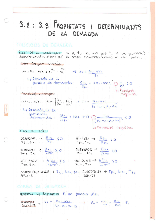 Miniatura del documento APUNTS-FINAL.pdf