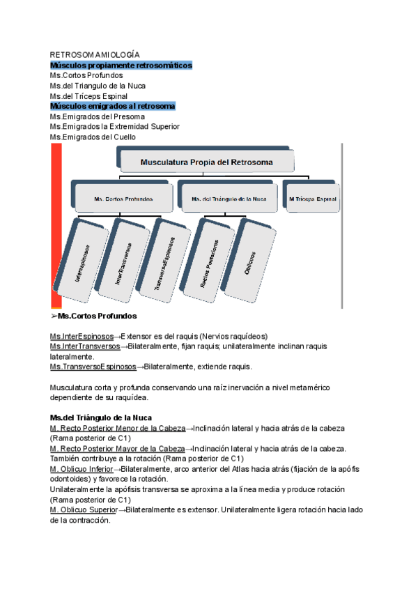 Miniatura del documento Retrosoma-2.pdf