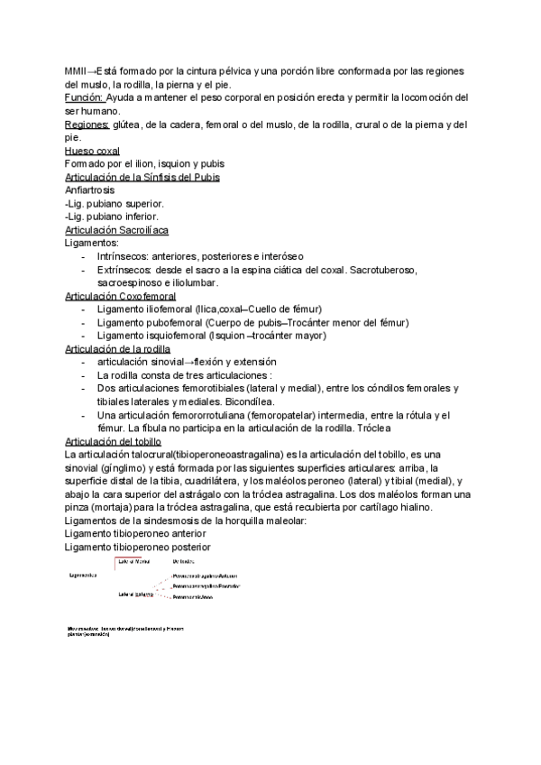 Miniatura del documento MMII.pdf