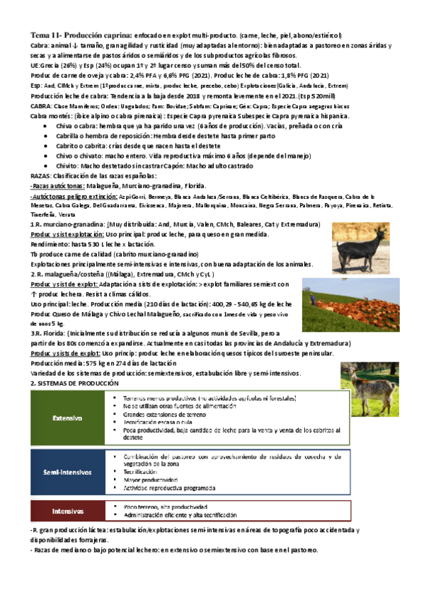 Miniatura del documento Tema-11.-Produccion-caprina-PMP.pdf