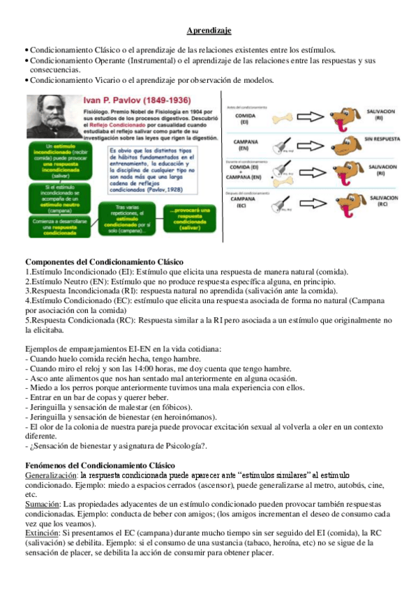 Miniatura del documento Aprendizaje.pdf