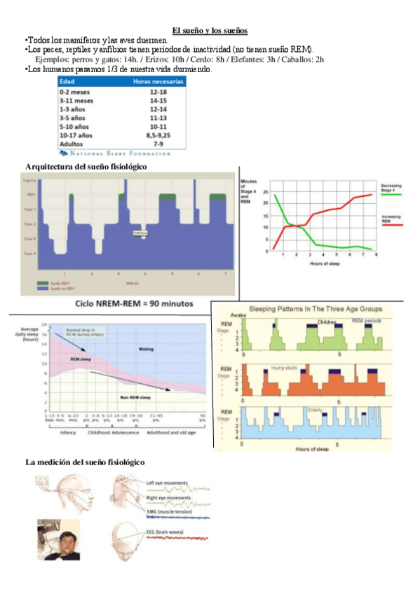 Miniatura del documento Sueño.pdf