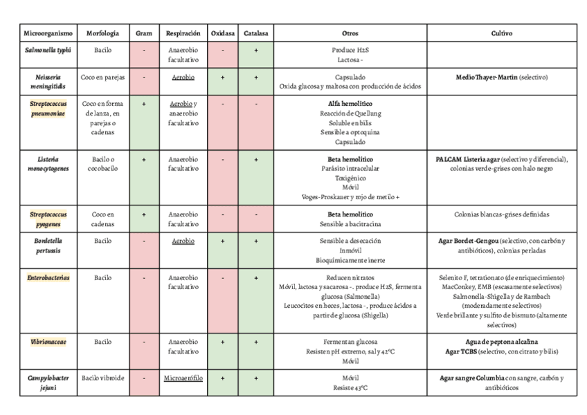 Miniatura del documento caracteristicas-microorganismos.pdf