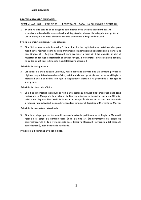 Miniatura del documento PRACTICA-PRINCIPIOS-REGISTRO-MERCANTIL.pdf