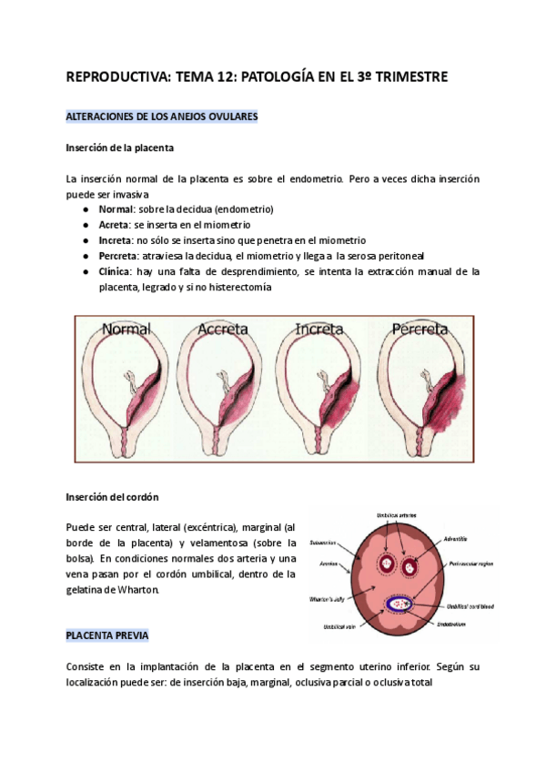Miniatura del documento REPRODUCTIVA-TEMA-12-PATOLOGIA-EN-EL-3o-TRIMESTRE.pdf