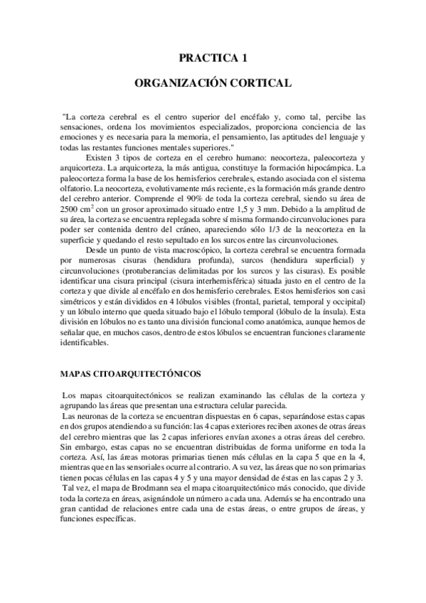 Miniatura del documento PRACTICA-1.pdf