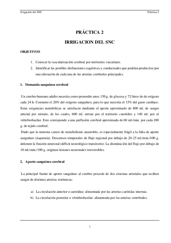 Miniatura del documento PRACTICA-2.pdf