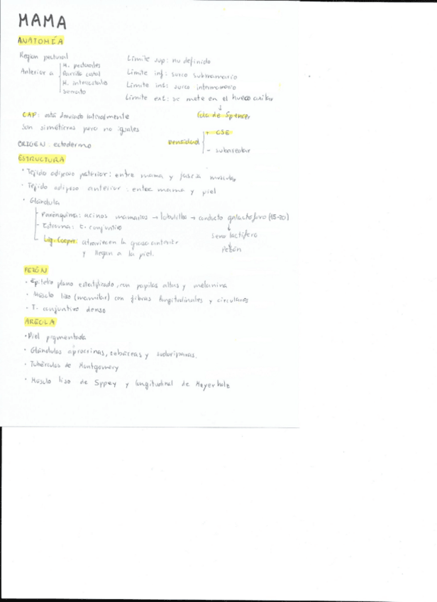 Miniatura del documento Anatomia-de-la-mama.pdf