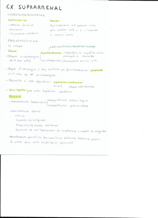 Miniatura del documento Cirugia-suprarrenal.pdf