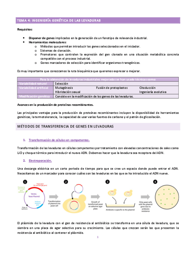 Miniatura del documento tema-4-biotec.pdf