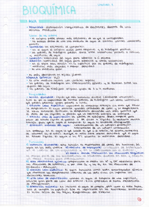 Miniatura del documento Bioquimica-1Bach.pdf