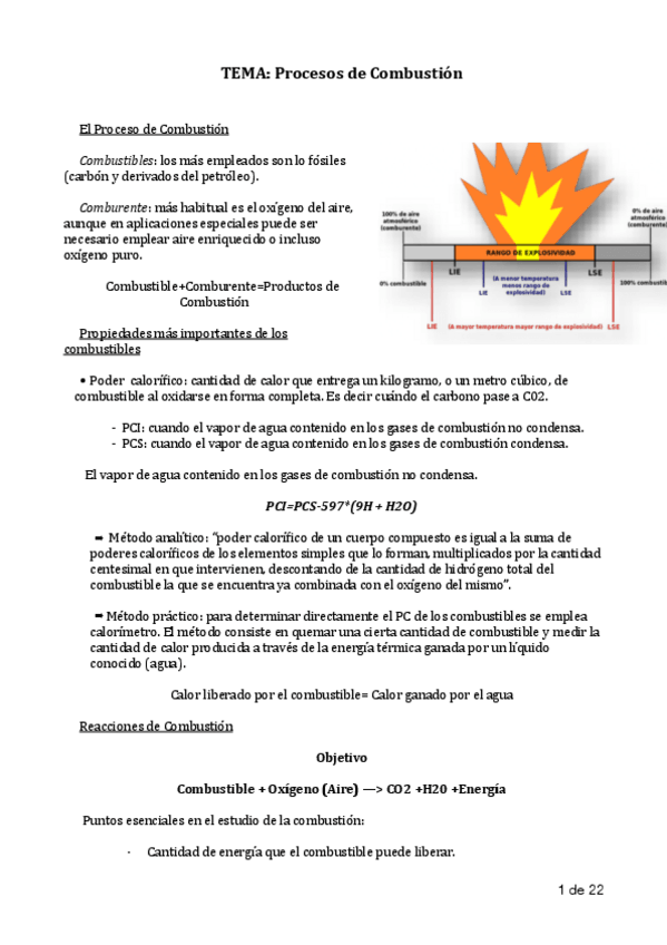 Miniatura del documento ApuntesParteLilijna.pdf