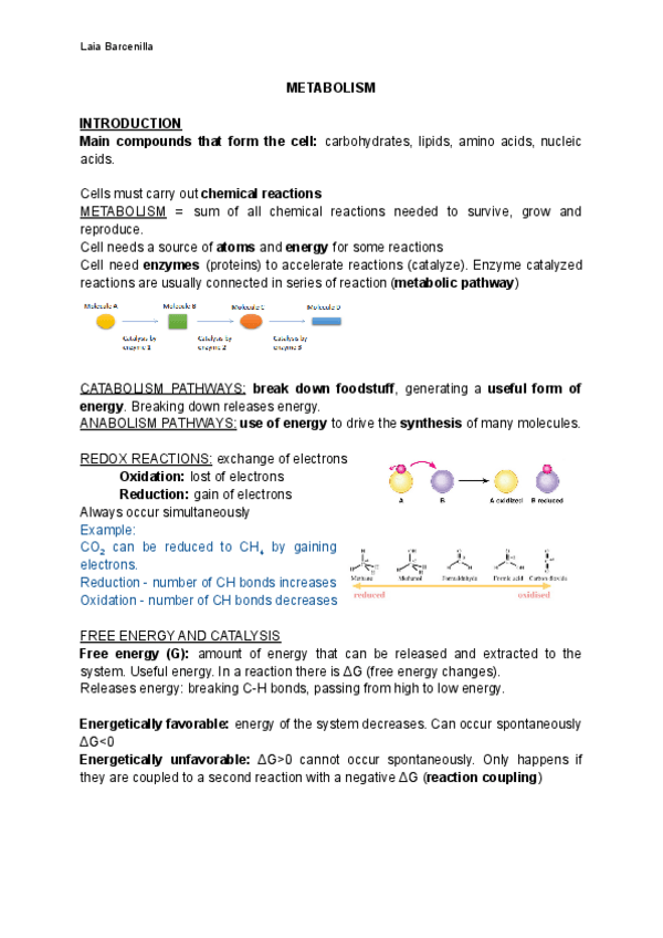 Miniatura del documento METABOLISM.pdf