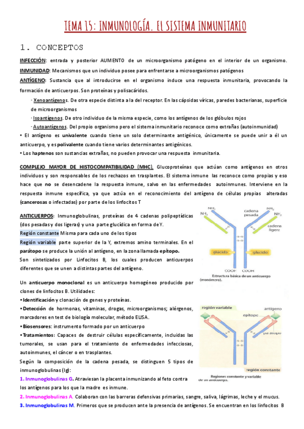 Miniatura del documento TEMA-15-INMUNOLOGIA.pdf