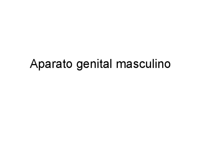 Miniatura del documento Aparato genital masculino.pdf