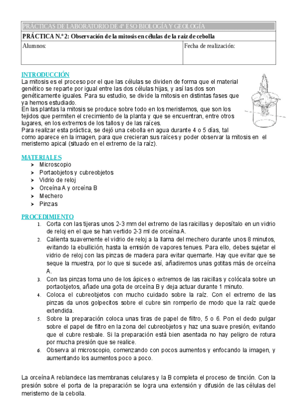 Miniatura del documento Guion-alumnos-practica-2-4-ESO-Observacion-mitosis-raiz-cebolla.pdf