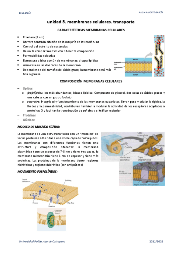 Miniatura del documento u5.-membranas-celulares.-transporte.pdf