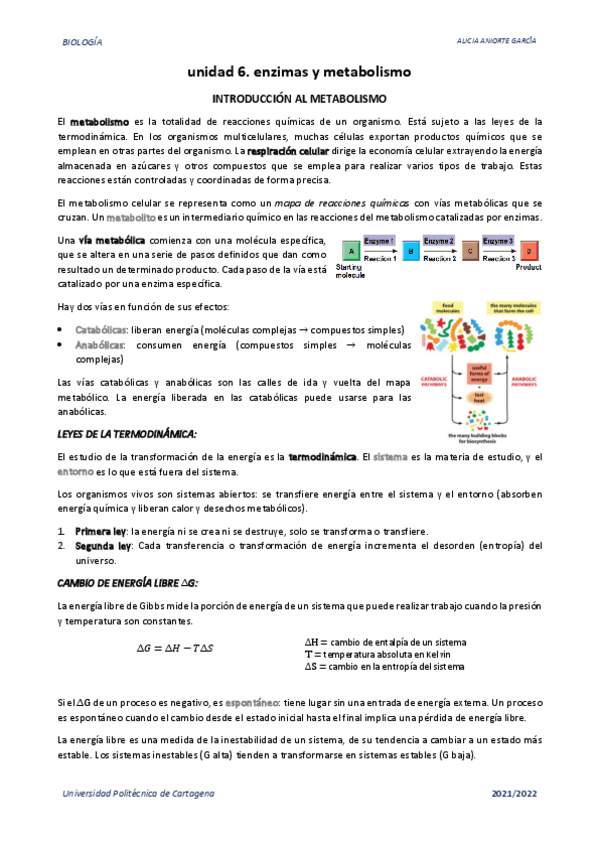 Miniatura del documento u6.-enzimas-y-metabolismo.pdf