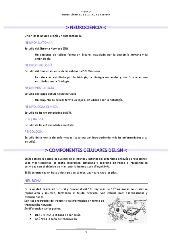 Miniatura del documento T.1-NEUROLOGIA.pdf
