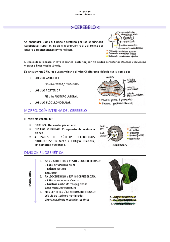 Miniatura del documento T.4-NEUROLOGIA.pdf