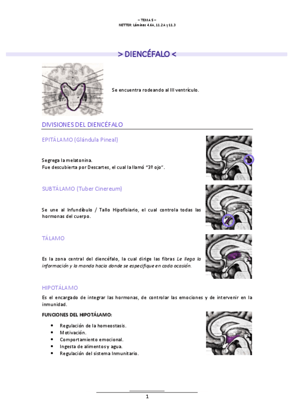 Miniatura del documento T.5-NEUROLOGIA.pdf