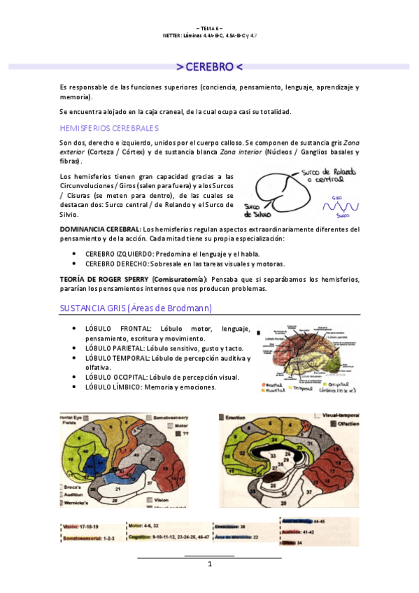 Miniatura del documento T.6-NEUROLOGIA.pdf