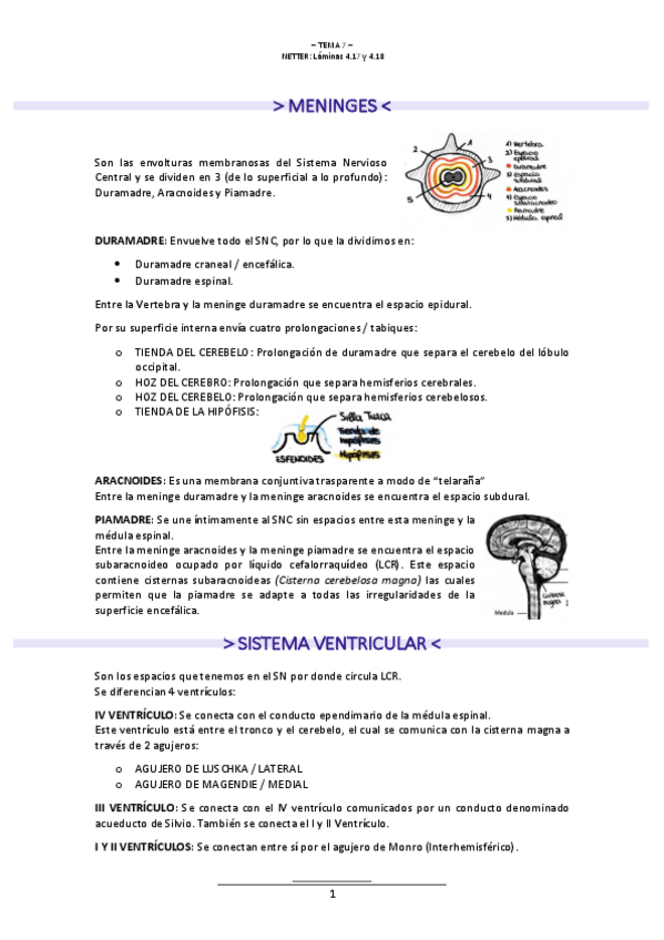 Miniatura del documento T.7-NEUROLOGIA.pdf
