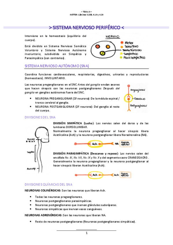 Miniatura del documento T.9-NEUROLOGIA.pdf
