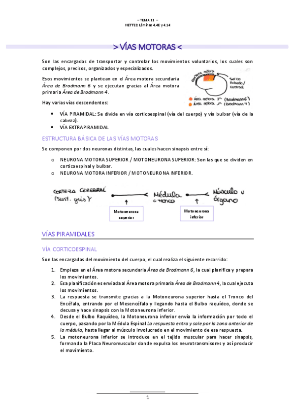 Miniatura del documento T.11-NEUROLOGIA.pdf