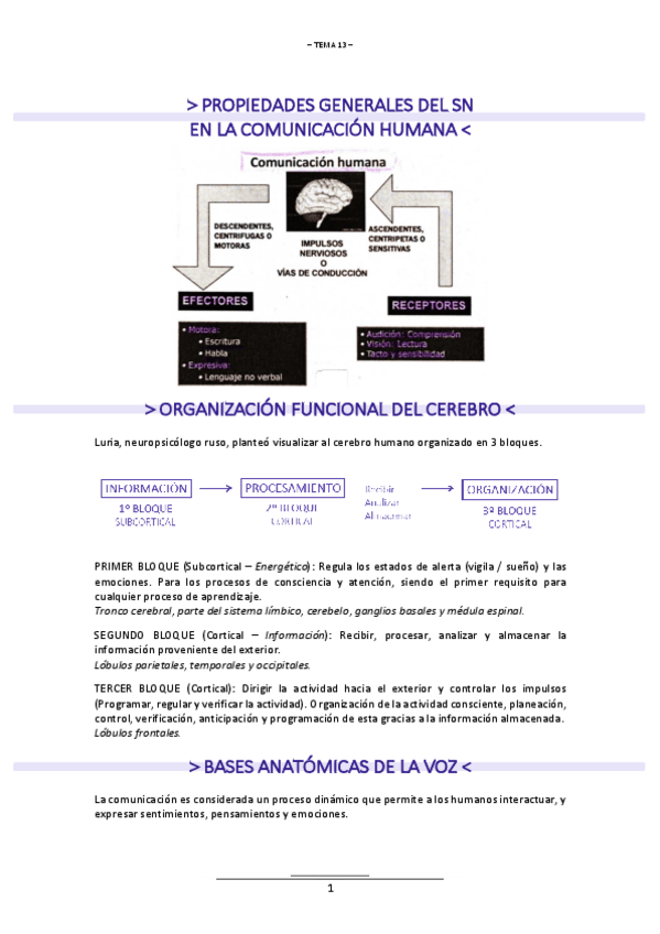 Miniatura del documento T.13-NEUROLOGIA.pdf