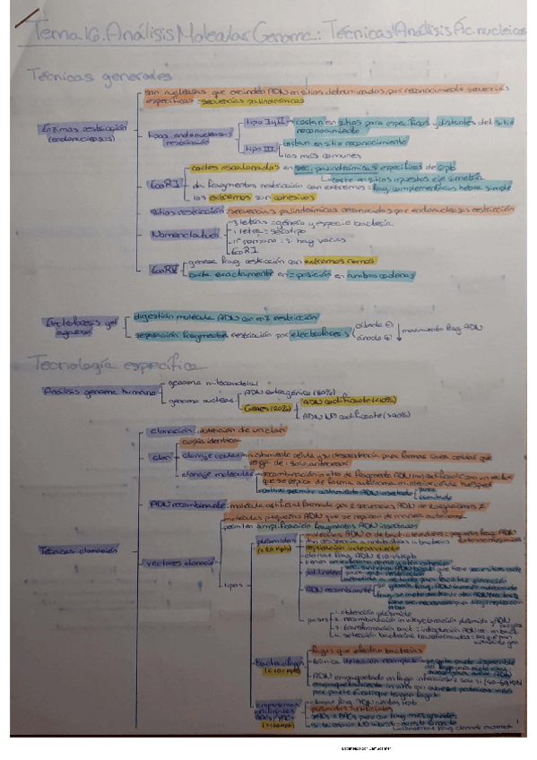 Miniatura del documento Tema 16 BQ.pdf