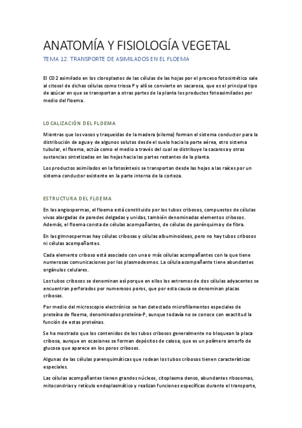 Miniatura del documento AFV T12.pdf