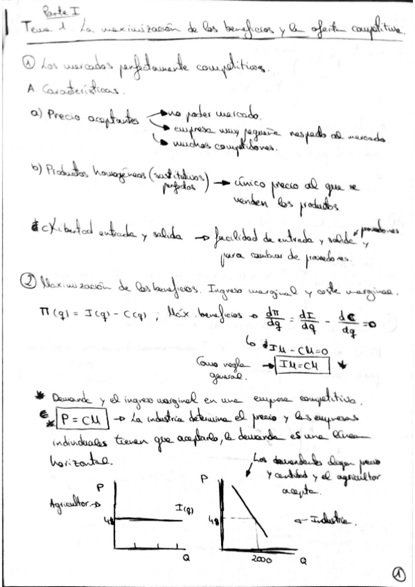 Miniatura del documento Documento.pdf