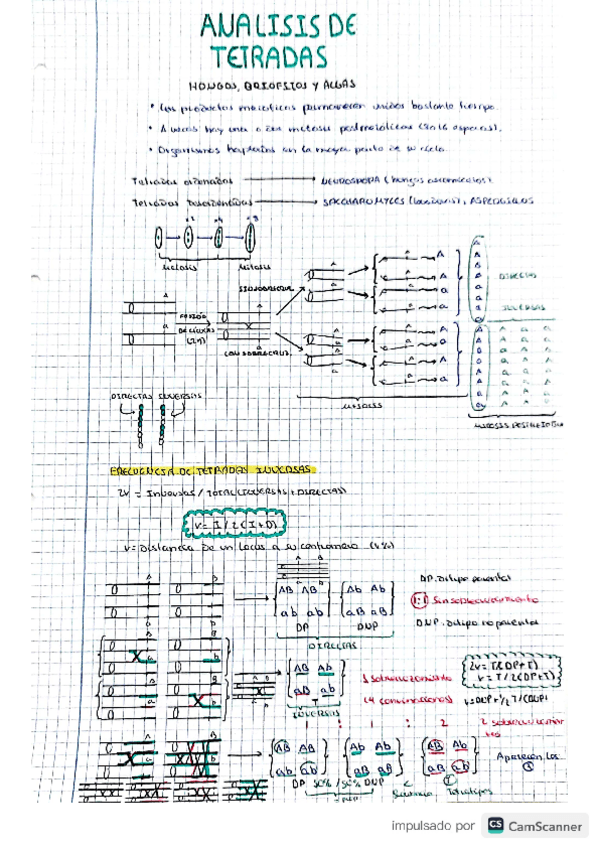 Miniatura del documento ANALISIS-DE-TETRADAS.pdf