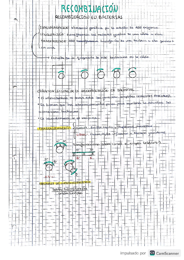 Miniatura del documento RECOMBINACION.pdf