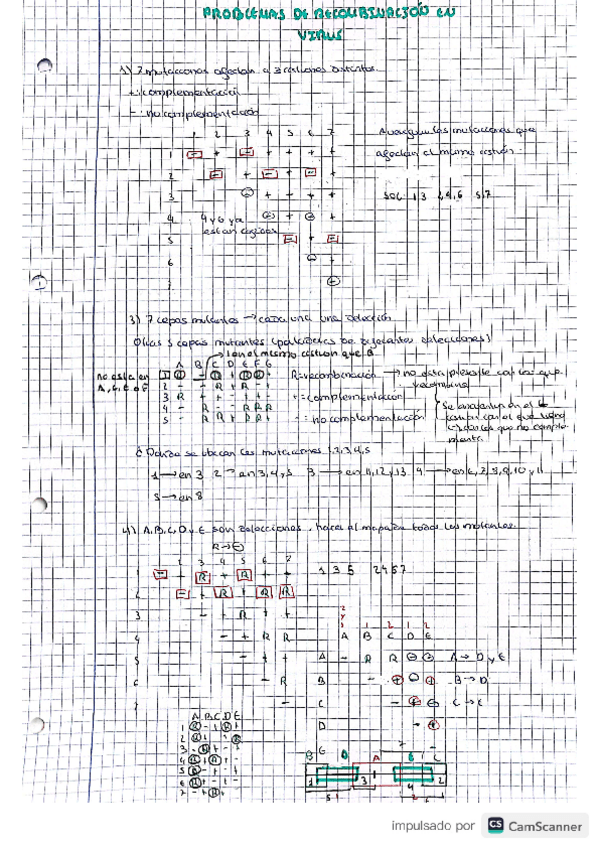 Miniatura del documento PROBLEMAS-DE-RECOMBINACION-EN-VIRUS.pdf