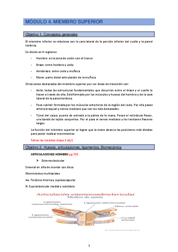 Miniatura del documento Modulo-4-Miembro-superior.pdf