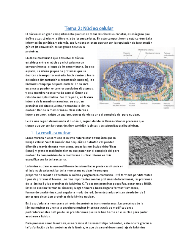 Miniatura del documento Biología celular - Tema 2.pdf