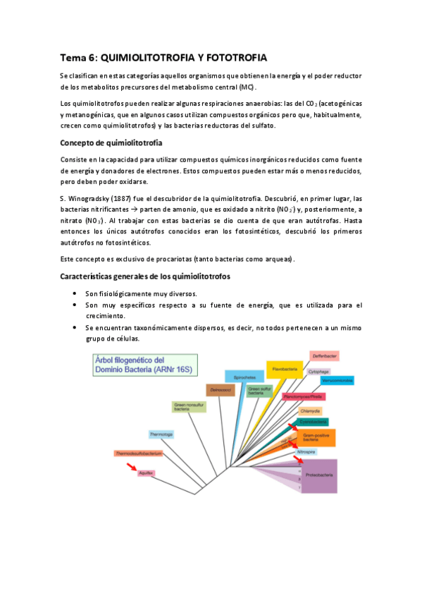 Miniatura del documento Tema-6.-Quimiolitotrofia-y-fototrofia-1.pdf