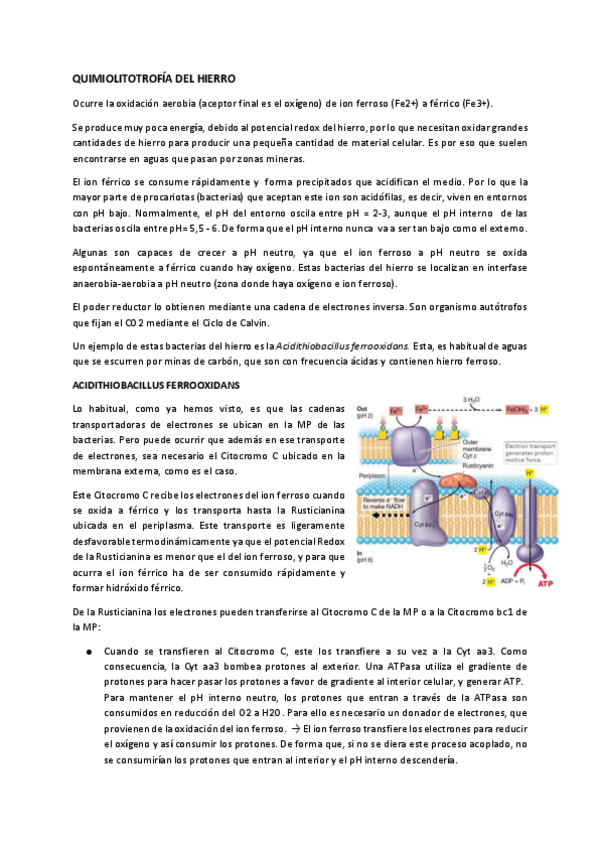 Miniatura del documento Tema-6.2.-Quimilitotrofia-y-fototrofia-2.pdf