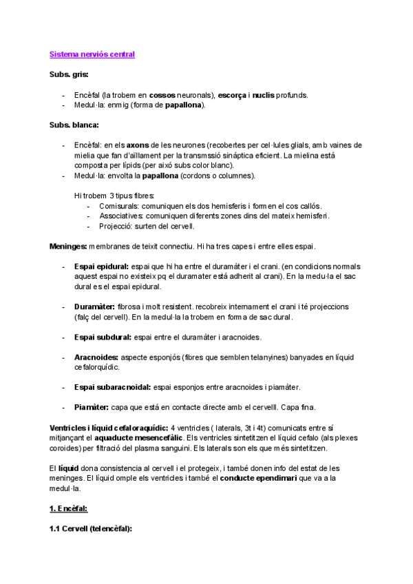 Miniatura del documento Sistema-nervios-central-encefal.pdf