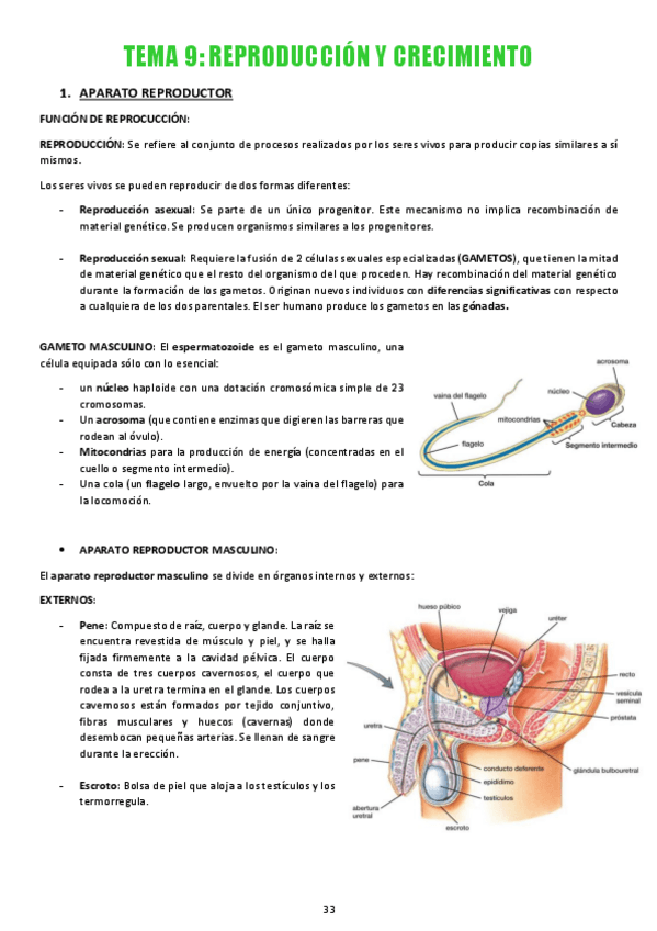 Miniatura del documento TEMA-9-REPRODUCCION-Y-CRECIMIENTO.pdf