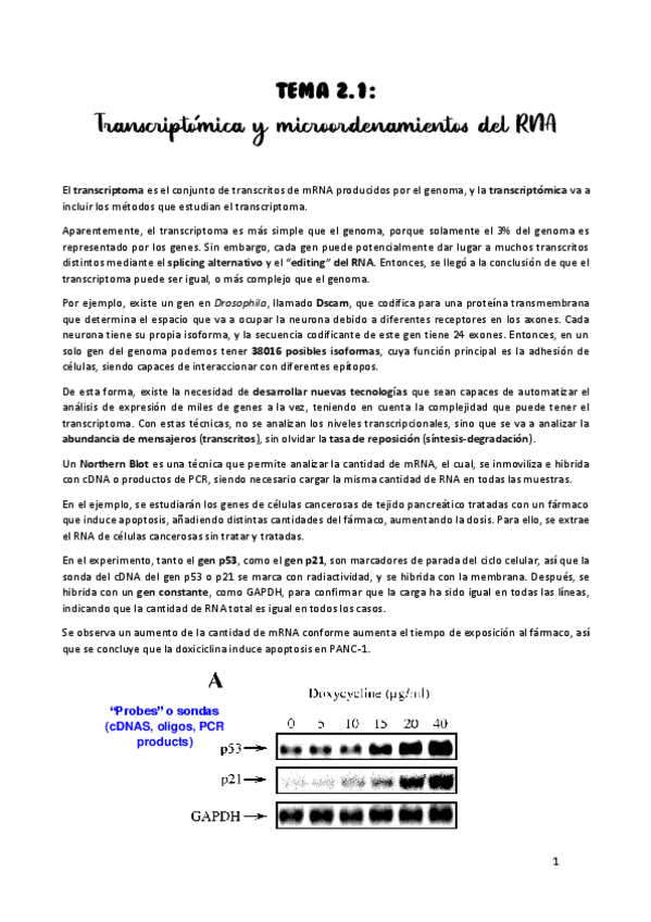 Miniatura del documento TEMA-2.1.pdf