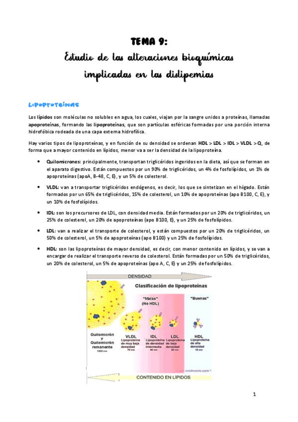 Miniatura del documento TEMA-9.pdf