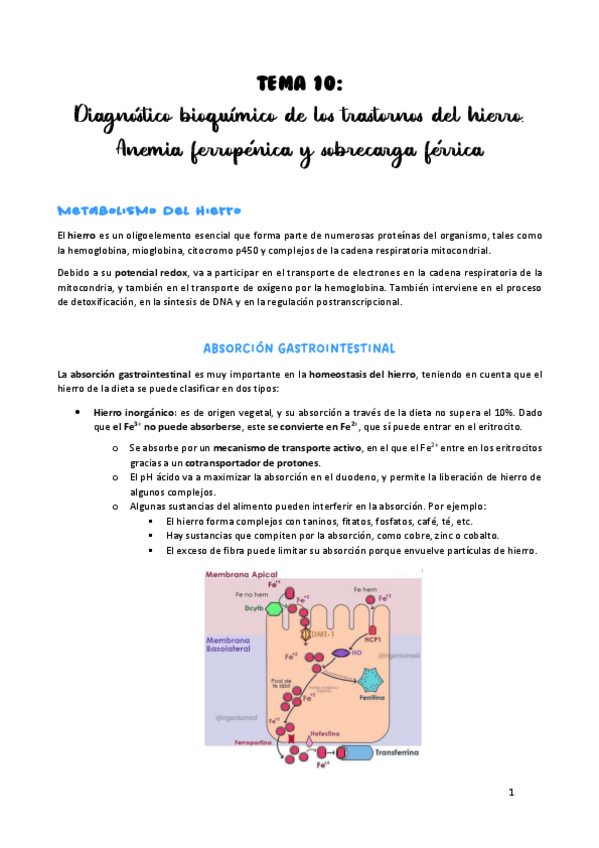 Miniatura del documento TEMA-10.pdf