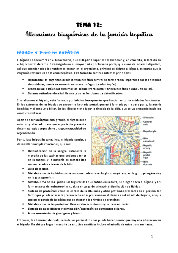 Miniatura del documento TEMA-12.pdf