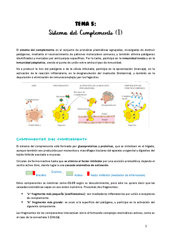 Miniatura del documento TEMA-5.pdf